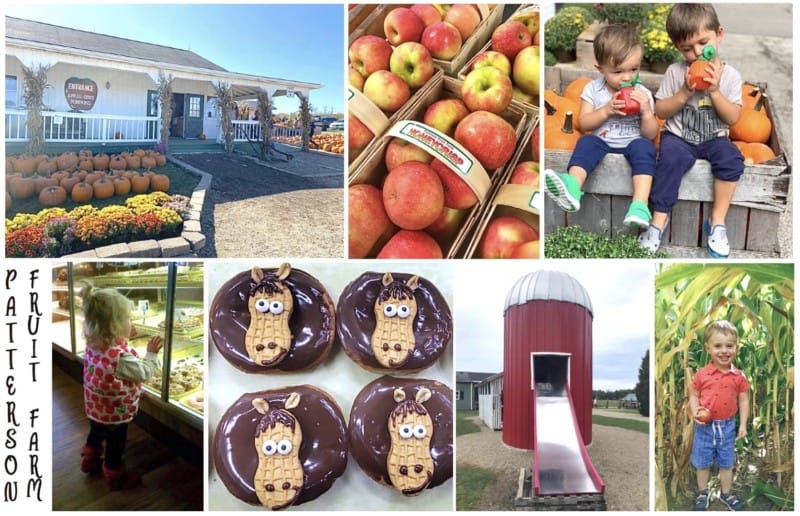 activities and food at patterson fruit farm market in geauga county