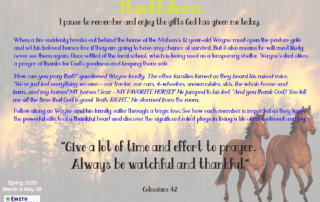 horses escaping fire