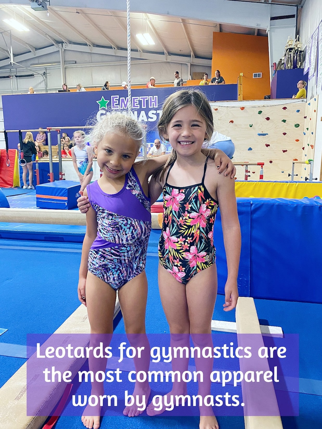 Leotards for gymnastics are the most common apparel worn by gymnasts.