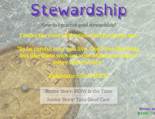 Winter 2024 CT: Stewardship